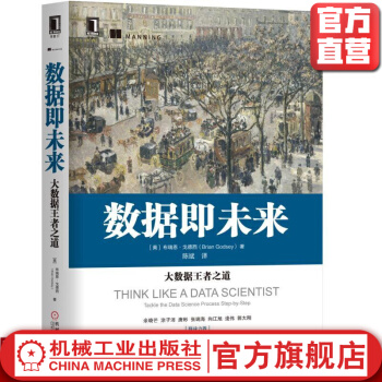 《数据即未来：大数据*者之道布瑞恩·戈德西》[89M]百度网盘|pdf下载|亲测有效