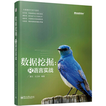 《大数据时代的R语言·数据挖掘：R语言实战》[69M]百度网盘|pdf下载|亲测有效