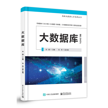 《大数据库——高级大数据人才培养丛书》[82M]百度网盘|pdf下载|亲测有效