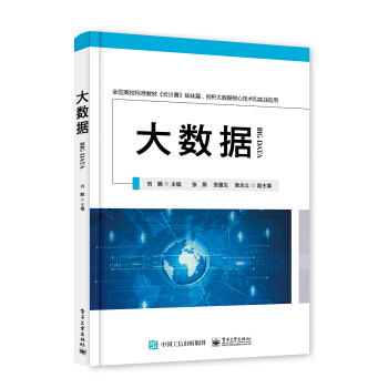《大数据——高级大数据人才培养丛书》[74M]百度网盘|pdf下载|亲测有效