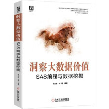 《洞察大数据价值-SAS编程与数据挖掘》[48M]百度网盘|pdf下载|亲测有效