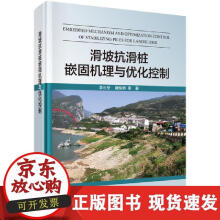 《滑坡抗滑桩嵌固机理与优化控制》[82M]百度网盘|pdf下载|亲测有效
