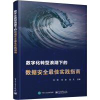 《数字化转型浪潮下的数据安全最佳实践指南》[48M]百度网盘|pdf下载|亲测有效