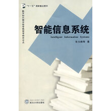 《智能信息系统》[43M]百度网盘|pdf下载|亲测有效