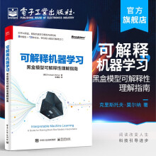 《可解释机器学习：黑盒模型可解释性理解指南克里斯托夫·莫尔纳简单可解释模型决》[88M]百度网盘|pdf下载|亲测有效