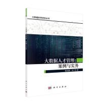 《大数据人才管理：案例与实务》[40M]百度网盘|pdf下载|亲测有效