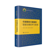 《可视媒体大数据的智能处理技术与系统》[48M]百度网盘|pdf下载|亲测有效