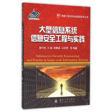 《大型信息系统信息安全工程与实践》[73M]百度网盘|pdf下载|亲测有效