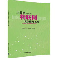 《大数据物联网复杂信息系统梁循,杨小平,赵吉超》[99M]百度网盘|pdf下载|亲测有效