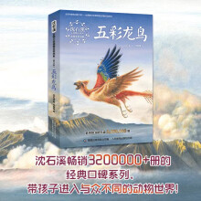《网童书沈石溪动物小说感悟生命书系·狼国女王五彩龙鸟》[51M]百度网盘|pdf下载|亲测有效