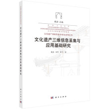 《文化遗产三维信息采集与应用基础研究文化遗产预防性保护研究系列丛书》[90M]百度网盘|pdf下载|亲测有效