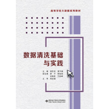 《数据清洗基础与实践》[84M]百度网盘|pdf下载|亲测有效