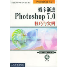 《循序渐进Photoshop7.0技巧与实例》[40M]百度网盘|pdf下载|亲测有效