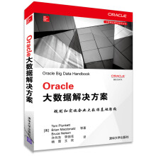 《Oracle大数据解决方案》[69M]百度网盘|pdf下载|亲测有效
