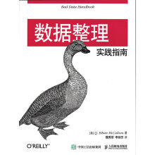 《数据整理实践指南分类计算机与互联网数据库》[40M]百度网盘|pdf下载|亲测有效