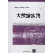 《大数据实践计算机互联网应用》[67M]百度网盘|pdf下载|亲测有效