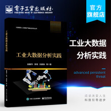 《官方工业大数据分析实践大数据及人工智能产教融合系列丛书田春华备故障诊断健康管》[65M]百度网盘|pdf下载|亲测有效
