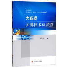 《大数据关键技术与展望》[96M]百度网盘|pdf下载|亲测有效