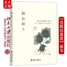 《北大舞在桥上跨文化相遇与对话》[77M]百度网盘|pdf下载|亲测有效