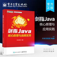 《剑指Java——核心原理与应用实践java编程入门书籍》[58M]百度网盘|pdf下载|亲测有效