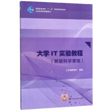 《IT实验教程》[57M]百度网盘|pdf下载|亲测有效