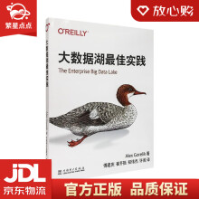 《大数据湖最佳实践AlexGorelik著中国电力》[43M]百度网盘|pdf下载|亲测有效