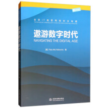 《遨游数字时代：全球IT高管网络安全秘籍》[72M]百度网盘|pdf下载|亲测有效