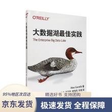 《大数据湖佳实践Alex,Gorelik中国电力》[55M]百度网盘|pdf下载|亲测有效