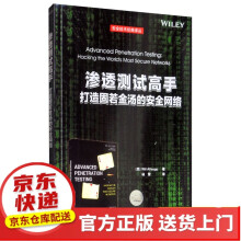 《CTF安全竞赛入门渗透测试高手》[86M]百度网盘|pdf下载|亲测有效