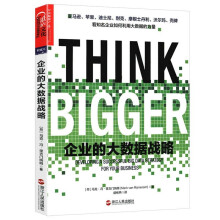 《企业的大数据战略大数据技术原理与应用\》[49M]百度网盘|pdf下载|亲测有效