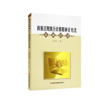 《政策法规执行计算机审计方法》[99M]百度网盘|pdf下载|亲测有效