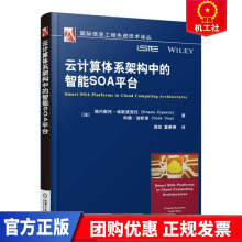 《云计算体系架构中的智能SO台埃内斯托埃斯波西托等机械工业计算机与互》[46M]百度网盘|pdf下载|亲测有效