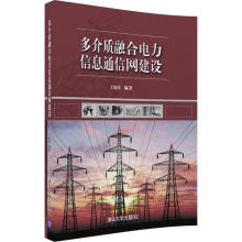 《多介质融合电力信息通信网建设王如伟编书籍》[72M]百度网盘|pdf下载|亲测有效
