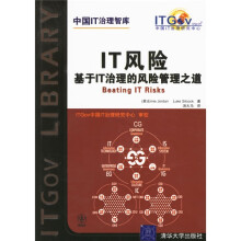 《IT风险：基于IT治理的风险管理之道》[40M]百度网盘|pdf下载|亲测有效