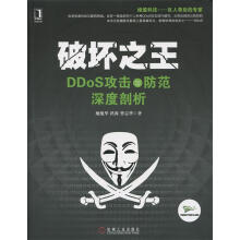 《破坏之王DDoS攻击与防范深度剖析》[66M]百度网盘|pdf下载|亲测有效