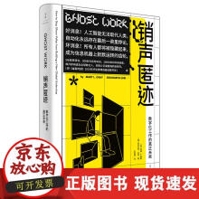 《销声匿迹:数字化工作的真正未来》[83M]百度网盘|pdf下载|亲测有效