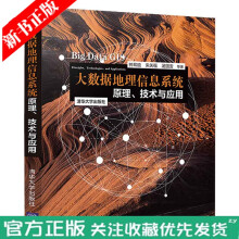 《大数据地理信息系统原理技术与应用GIS空间大数据书》[68M]百度网盘|pdf下载|亲测有效