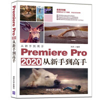 《Premiere Pro 2020从新手到高手（全彩印刷）/从新手到高手》[62M]百度网盘|pdf下载|亲测有效