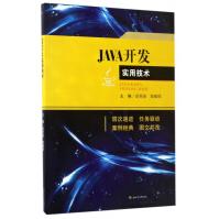 《JAVA开发实用技术》[47M]百度网盘|pdf下载|亲测有效