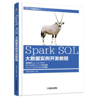 《Spark SQL大数据实例开发教程》[64M]百度网盘|pdf下载|亲测有效