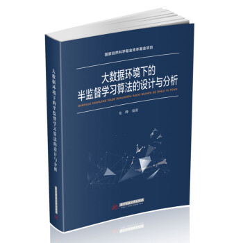 《大数据环境下的半监督学习算法的设计与分析》[50M]百度网盘|pdf下载|亲测有效