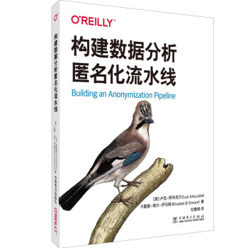 《构建数据分析匿名化流水线》[48M]百度网盘|pdf下载|亲测有效