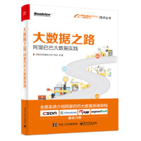 《大数据之路:大数据实践》[72M]百度网盘|pdf下载|亲测有效
