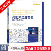 《高能效类脑智能:算法与体系架构郑楠》[82M]百度网盘|pdf下载|亲测有效
