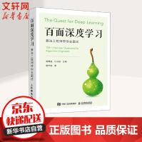 《百面深度学习算法工程师带你去面试》[90M]百度网盘|pdf下载|亲测有效