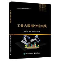 《工业大数据分析实践工业大数据分析的工程方法论设备故障诊断与健康管理生产质量分析生产效率》[83M]百度网盘|pdf下载|亲测有效