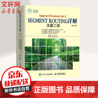 《SEGMENTROUTING详解第2卷流量工程》[84M]百度网盘|pdf下载|亲测有效