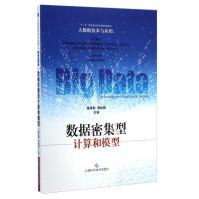 《大数据技术与应用：数据密集型计算和模型》[60M]百度网盘|pdf下载|亲测有效