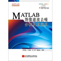 《MATLAB图像滤波去噪分析及其应用》[64M]百度网盘|pdf下载|亲测有效