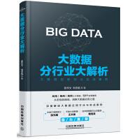 《大数据分行业大解析》[67M]百度网盘|pdf下载|亲测有效